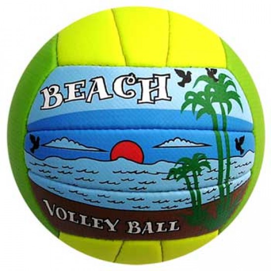 Volley Ball